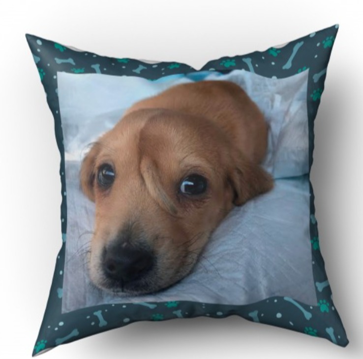 Almofada  Personalizada 